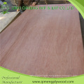 1220X2440X1.6-18mm One Time Hot Press Uty Grade Commercial Plywood